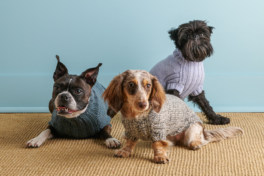 Sole Salvo For Purl Soho: Lucky Dog Sweater in Daily Wool | Purl Soho